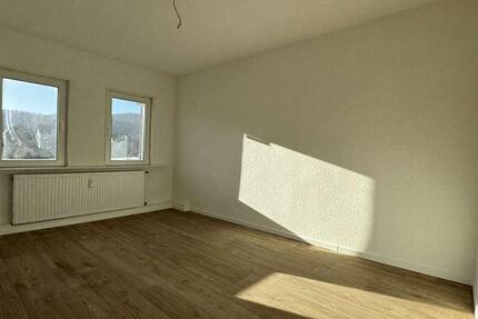 Sanierte 1-Raum-Etagenwohnung in zentraler Lage 1 zimmer