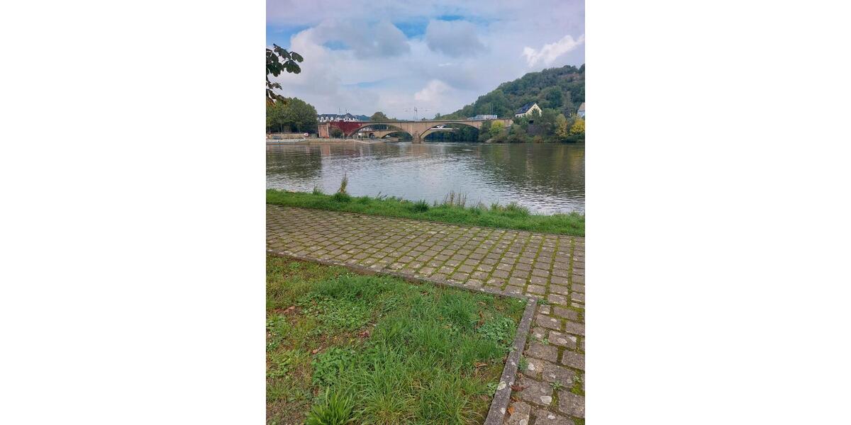 Erdgeschoßwohnung Trier Nord - 1 Zimmer, 45 m&sup2;, 650&euro; | Angebot:24803056