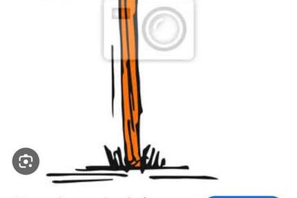 Wohnung Nienburg (Weser) - 1 Zimmer, 16 m&sup2;, 400&euro; | Angebot:24583042