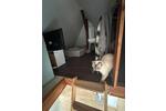 Dachgeschoßwohnung Rinteln - 2 Zimmer, 60 m&sup2;, 700&euro; | Angebot:26638197