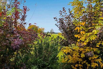 Mietwohnungen in Korswandt 2 Zimmer zimmer