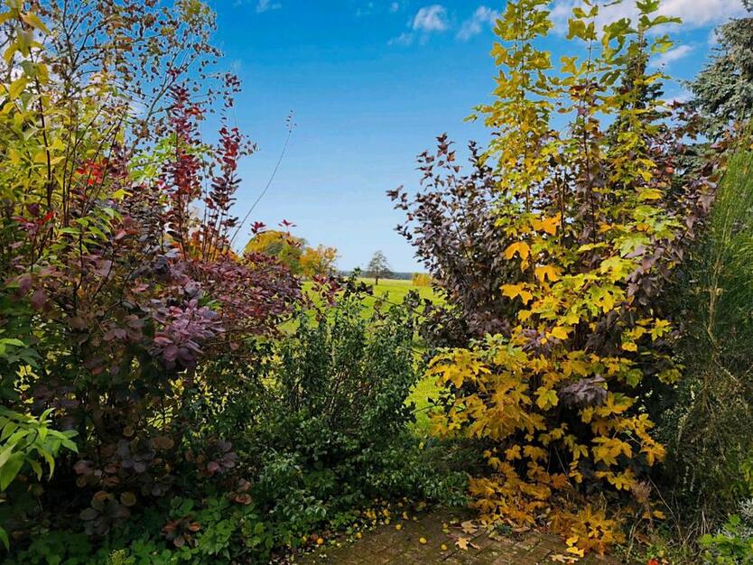 Mietwohnungen in Korswandt 2 Zimmer zimmer