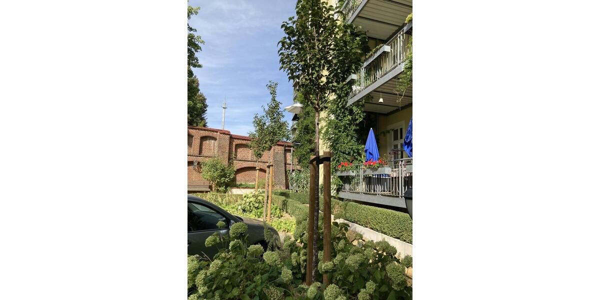 Erdgeschoßwohnung Görlitz - 2 Zimmer, 52 m&sup2;, 495&euro; | Angebot:25713815