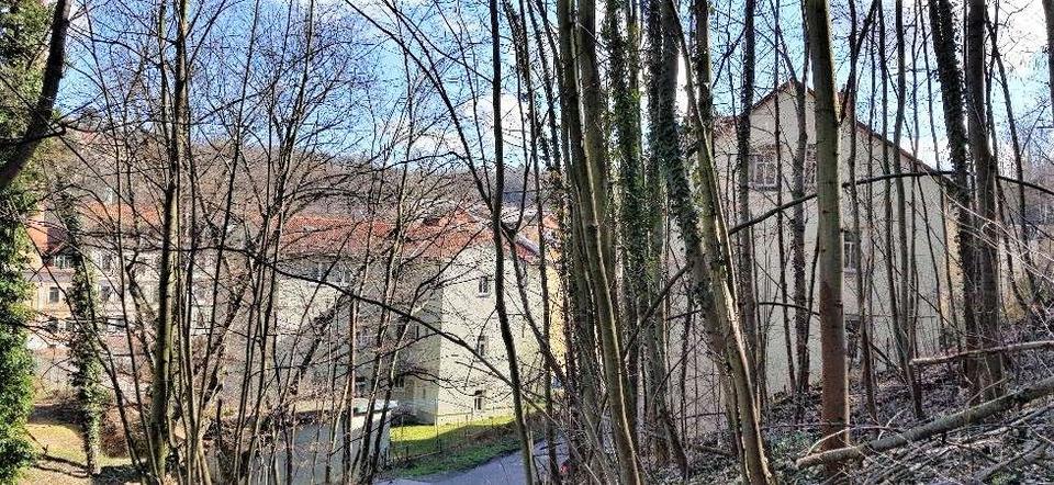 Etagenwohnung Meißen - 4 Zimmer, 86 m&sup2;, 556&euro; | Angebot:26384038