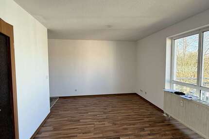 Wohnung Hainichen - 1 Zimmer, 33 m&sup2;, 170&euro; | Angebot:25766172