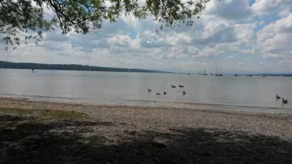 Wohnen auf Zeit Greifenberg - 1 Zimmer, 45&euro; | Angebot:21182844