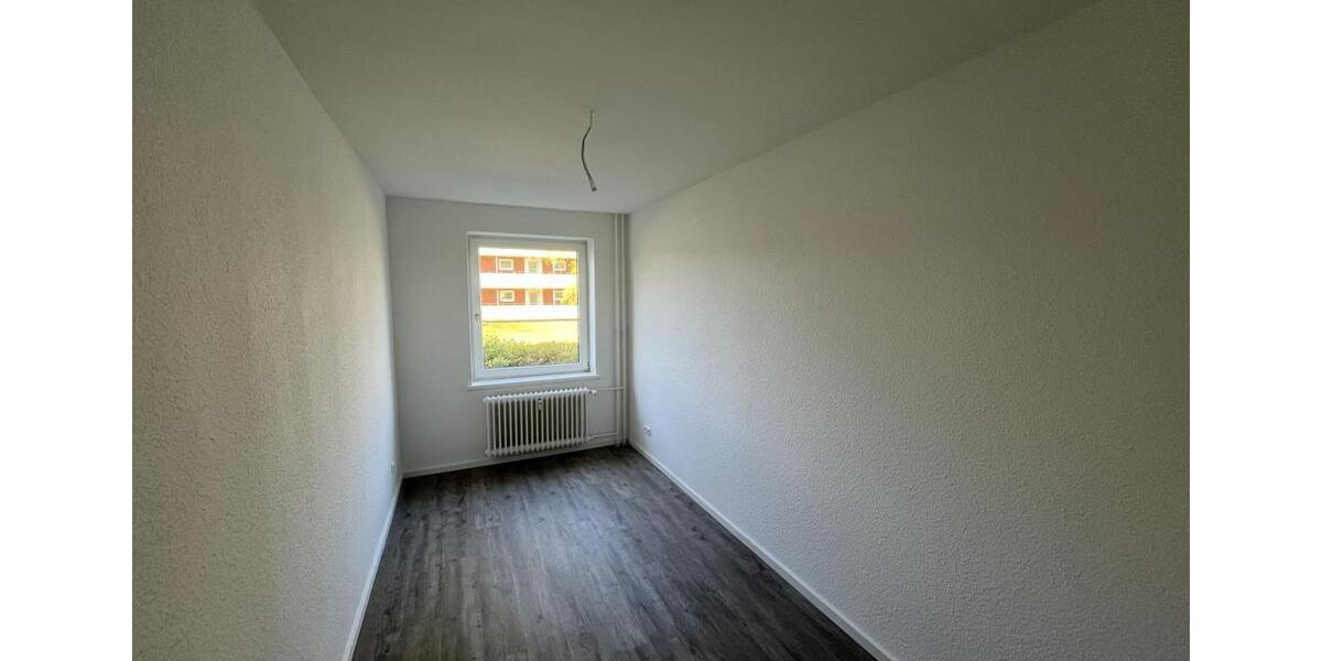 Erdgeschoßwohnung Trappenkamp - 2.5 Zimmer, 64 m&sup2;, 450&euro; | Angebot:26253890