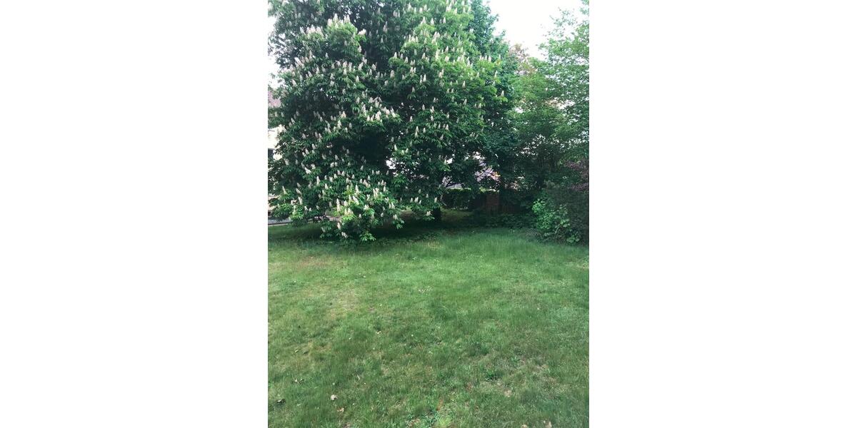 Etagenwohnung Munster - 3 Zimmer, 70 m&sup2;, 540&euro; | Angebot:25918321