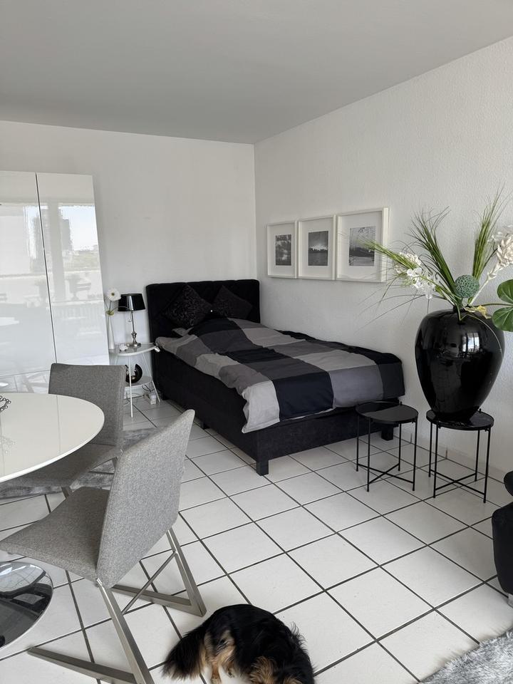 **Hier fühlen Sie sich wohl!** Appartement im Herzen von D zu vermieten