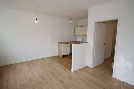 Wohnung zum Mieten in Magdeburg 444,38 € 65.35 m²