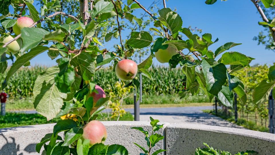 Dachgeschoßwohnung Putzbrunn - 3 Zimmer, 79 m&sup2;, 1.940&euro; | Angebot:24425651