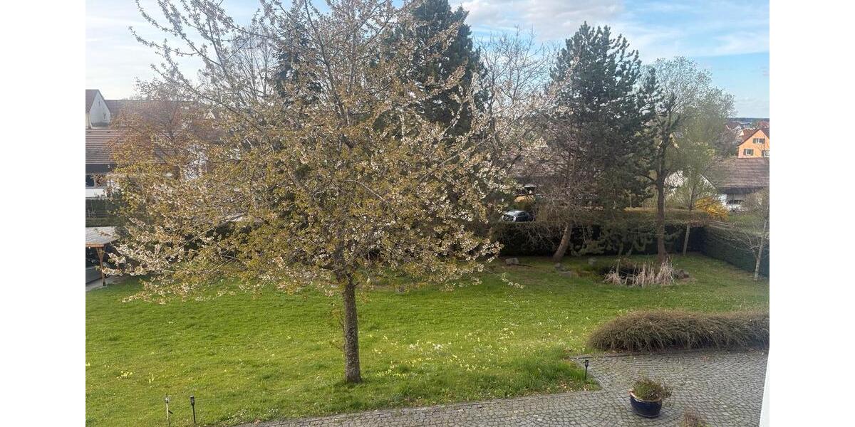 Wohnen auf Zeit Trossingen - 1 Zimmer, 40 m&sup2;, 495&euro; | Angebot:26224683