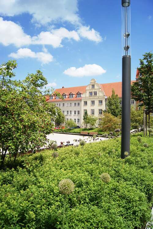 Wohnung zum Mieten in Zeitz 165 € 24 m²