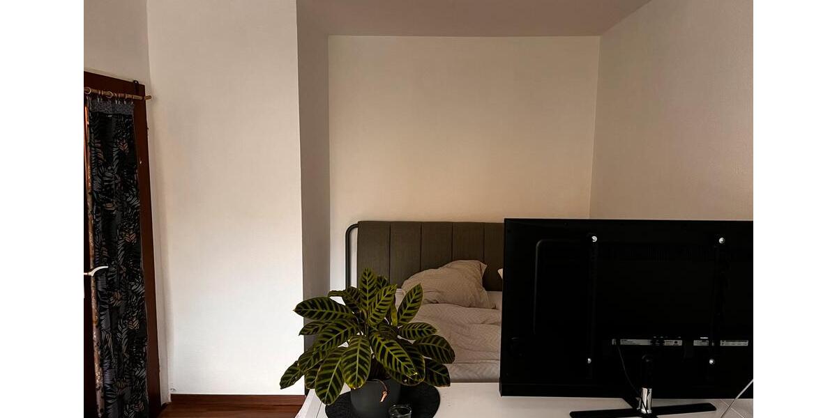 Wohnen auf Zeit Oldenburg Dobbenviertel - 1 Zimmer, 15 m&sup2;, 406&euro; | Angebot:24604618