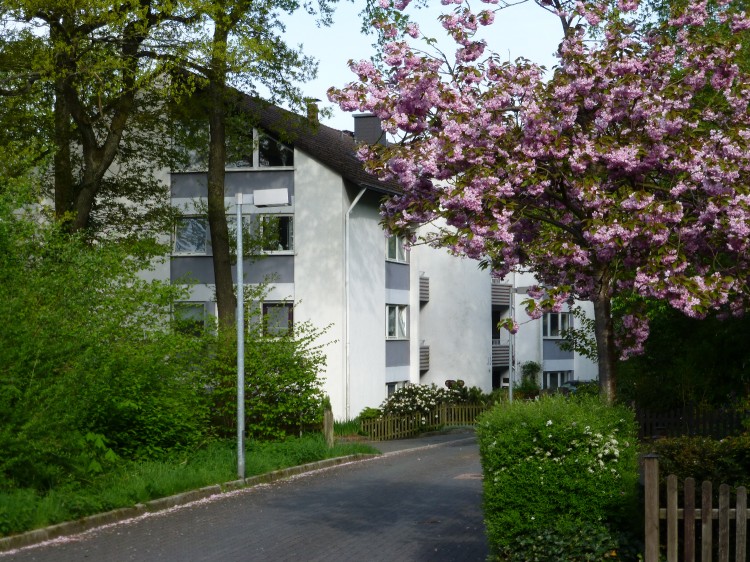 4 12 Zi., Küche, Bad, Gäste-WC, 2 x Loggia, Sauna, - Etagenwohnung Lüdenscheid Brügge | Angebot:23643884