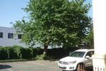 Dachgeschoßwohnung Bautzen - 1 Zimmer, 70 m&sup2;, 339&euro; | Angebot:25613083