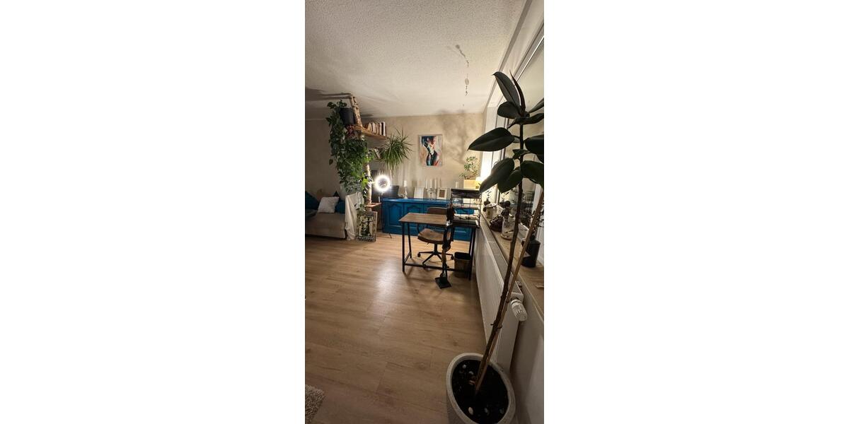 Wohnen auf Zeit Köln Lindenthal - 1 Zimmer, 50 m&sup2;, 800&euro; | Angebot:26582806