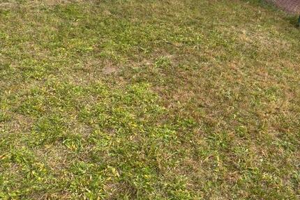Wolfsburg Kästorf, 2 Zi., ca. 56m² im EG mit Garten zimmer