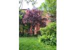 Dachgeschoßwohnung Erfurt Johannesvorstadt - 3 Zimmer, 88 m&sup2;, 820&euro; | Angebot:26687836