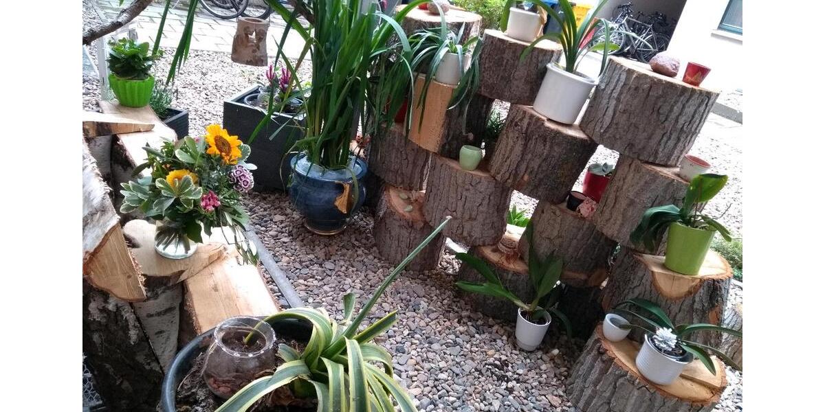 Wohnen auf Zeit Magdeburg - 2 Zimmer, 55 m&sup2;, 980&euro; | Angebot:26431208