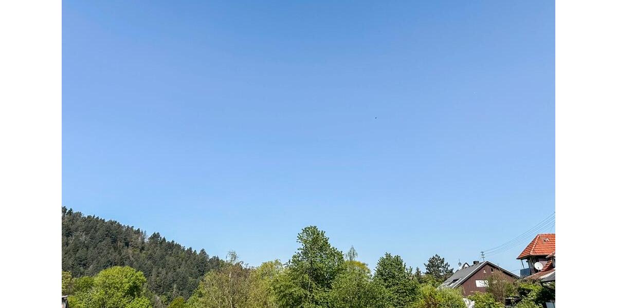 Etagenwohnung Gernsbach - 2 Zimmer, 90 m&sup2;, 1.150&euro; | Angebot:26420801