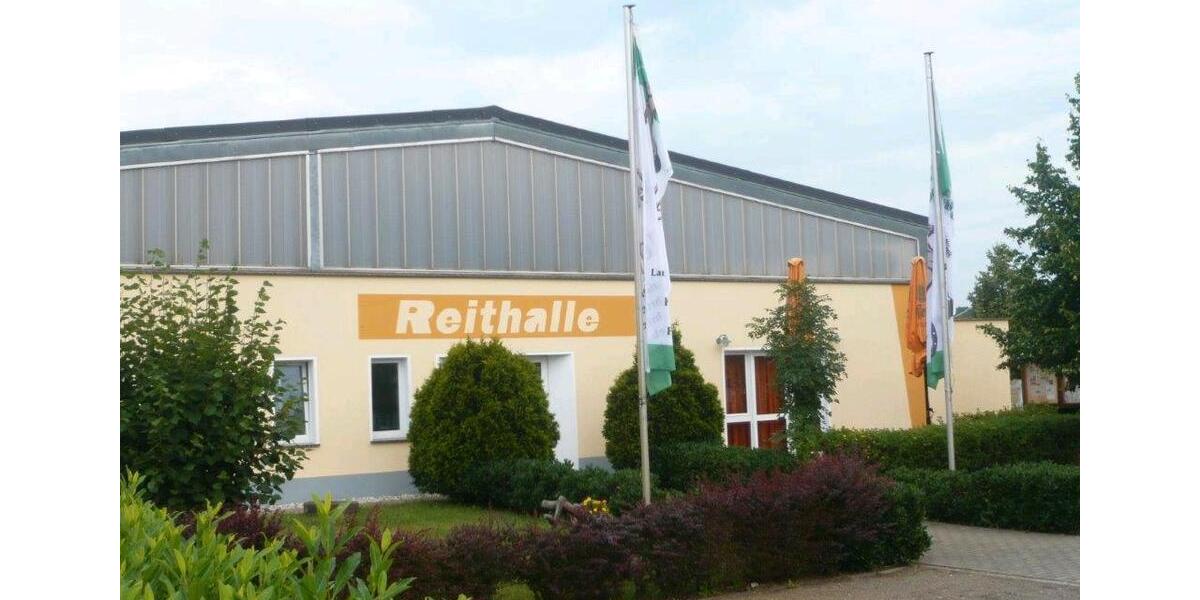 Gewerbeobjekt Bad Liebenwerda - 300&euro; | Angebot:26215949