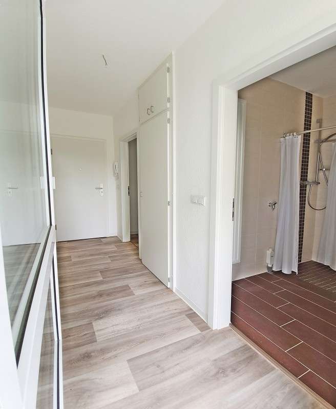 Wohnung zum Mieten in Zwickau 294 € 49 m²