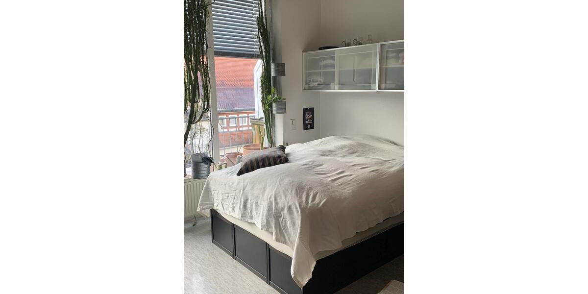 Dachgeschoßwohnung Gießen Schlangenzahl - 1 Zimmer, 30 m&sup2;, 385&euro; | Angebot:26006758