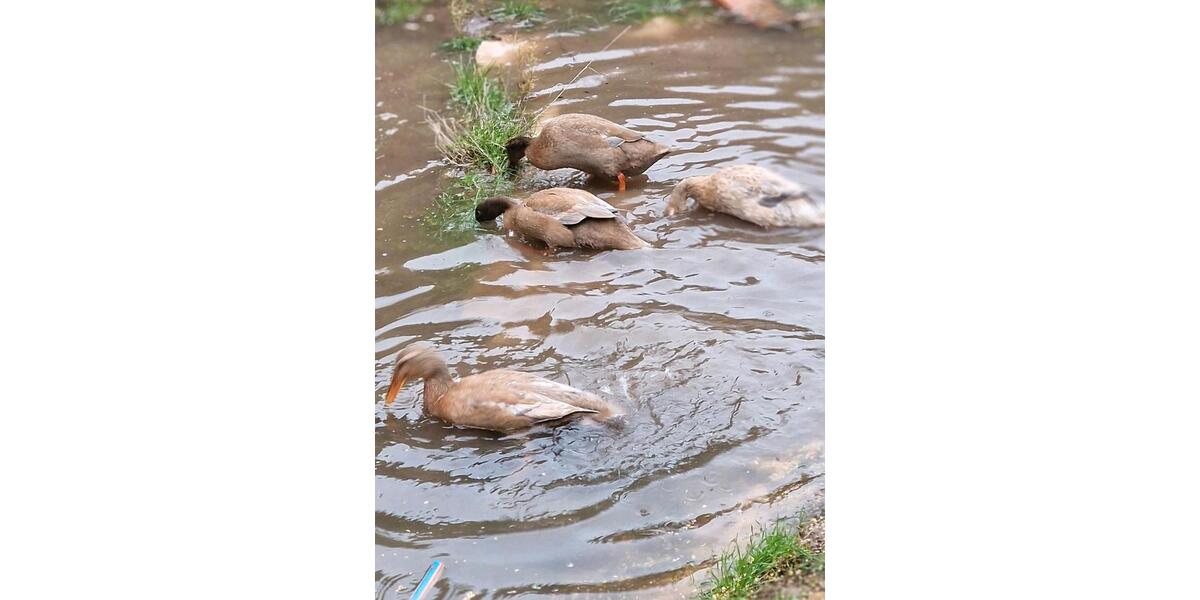 Wohnen auf Zeit Burg - 1 Zimmer, 45 m&sup2;, 40&euro; | Angebot:24747382