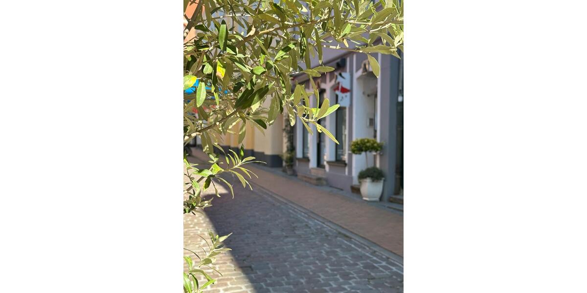 Etagenwohnung Schwerin - 3 Zimmer, 60 m&sup2;, 900&euro; | Angebot:26600651
