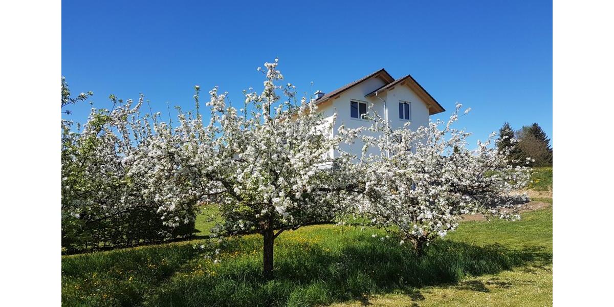 Wohnen auf Zeit Rottweil - 1 Zimmer, 50 m&sup2;, 1.220&euro; | Angebot:26219691