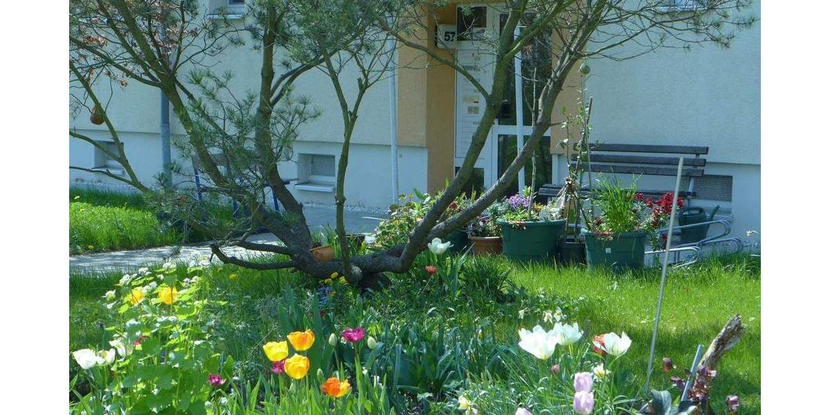 Etagenwohnung Borna - 2 Zimmer, 48 m&sup2;, 318&euro; | Angebot:25226677