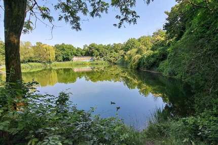 Wohnung zum Mieten in Magdeburg 528,52 € 89.58 m² 4 zimmer