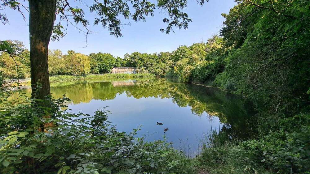 Wohnung zum Mieten in Magdeburg 528,52 € 89.58 m² 4 zimmer