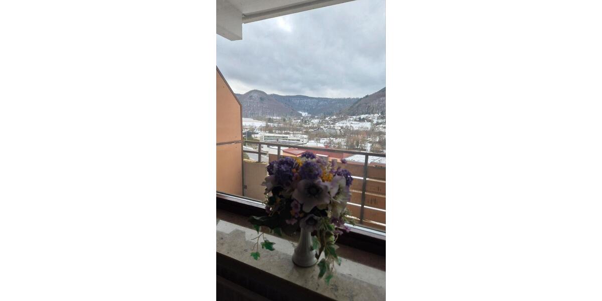 Wohnen auf Zeit Pfullingen - 1 Zimmer, 25 m&sup2;, 15&euro; | Angebot:24581277