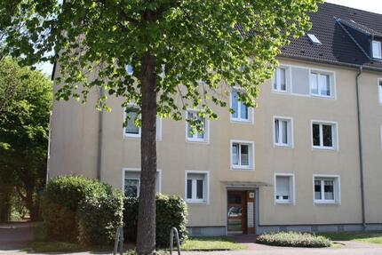 Wohnung Bottrop Batenbrock - 2.5 Zimmer, 55 m&sup2;, 439&euro; | Angebot:25057079