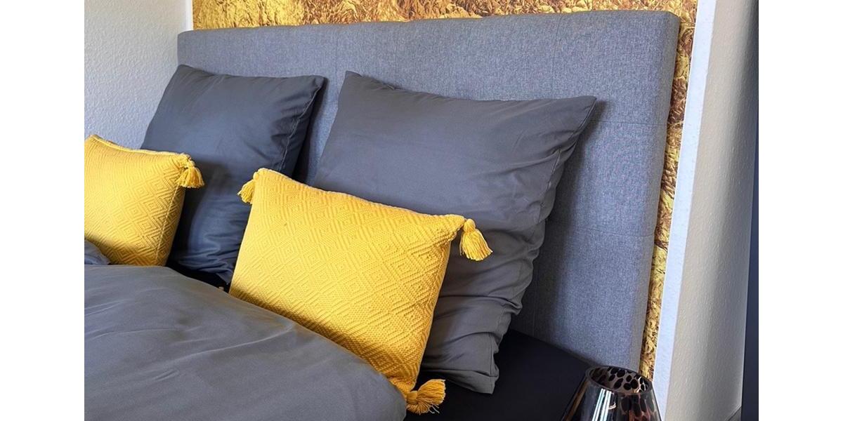 2-Zimmer-Appartement mit TV, Wlan, Doppelbett und Schlafcouch, Küche, BadWC, Waschmaschine und eigenem Parkplatz 2 zimmer