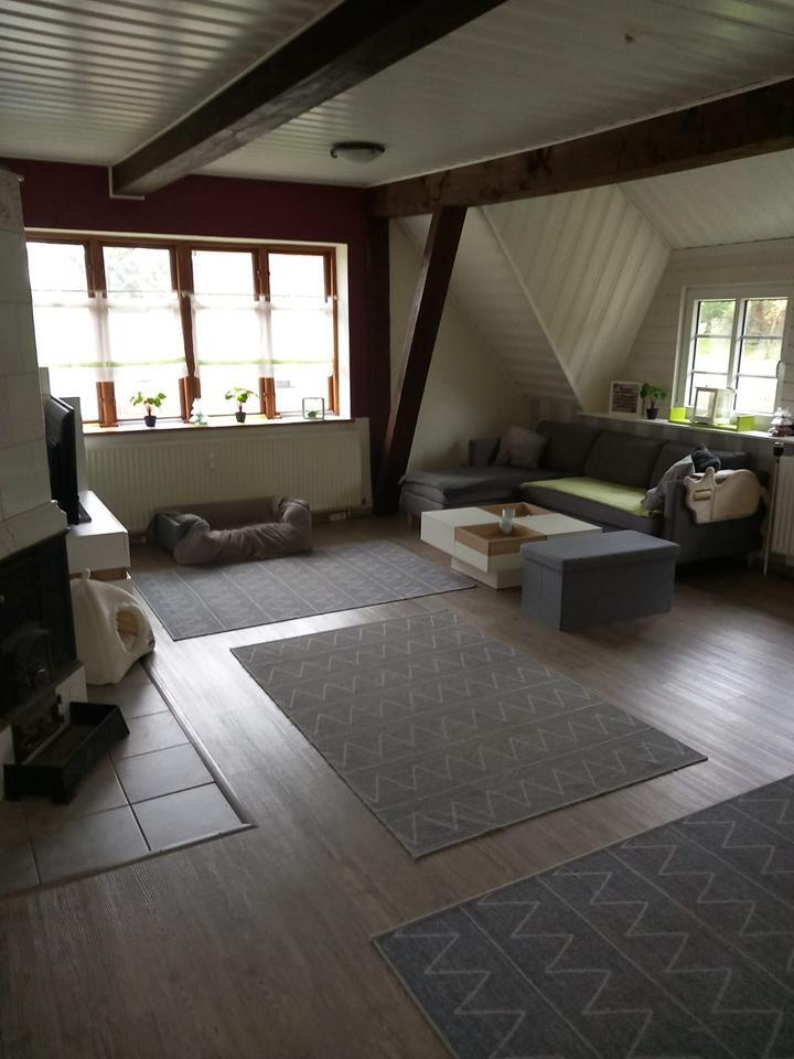 3,5 Zimmer Wohnung zu vermieten