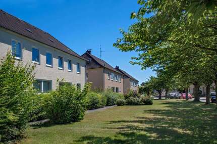 Wohnung Brakel - 2 Zimmer, 50 m&sup2;, 389&euro; | Angebot:26729393
