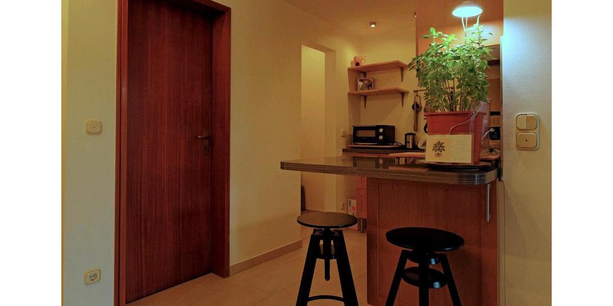 Wohnen auf Zeit Konstanz Allmannsdorf - 1 Zimmer, 45 m&sup2;, 1.250&euro; | Angebot:23832737