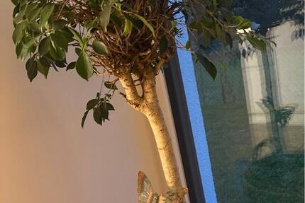 WG Zimmer Lübeck St. Jürgen 1 zimmer