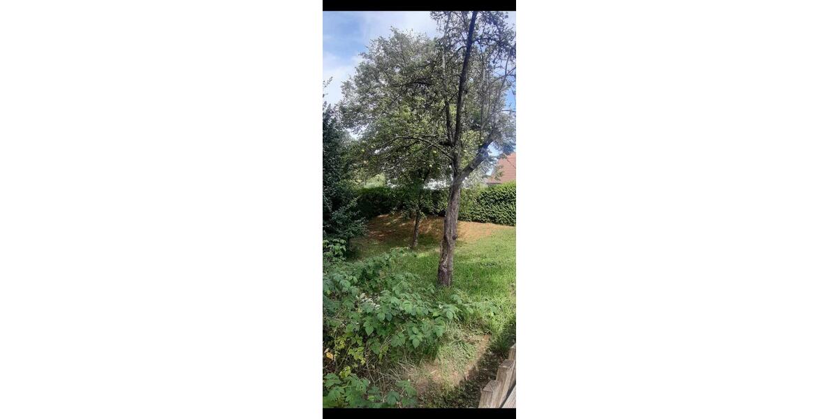 Haus zu vermieten 3 zimmer