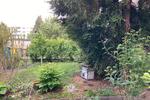 Erdgeschoßwohnung Magdeburg Diesdorf - 2 Zimmer, 64 m&sup2;, 384&euro; | Angebot:26587490