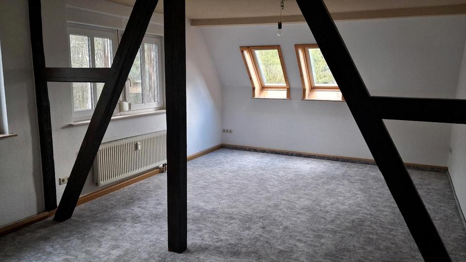 Dachgeschoßwohnung Frohburg - 1 Zimmer, 72 m&sup2;, 700&euro; | Angebot:25941737