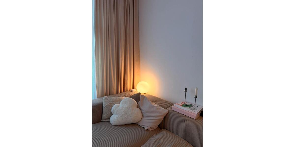 Wohnen auf Zeit Wiesbaden Biebrich - 1 Zimmer, 20 m&sup2;, 600&euro; | Angebot:26621068