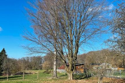 Haus Köln Ehrenfeld - 5 Zimmer, 180 m&sup2;, 1.600&euro; | Angebot:25371514