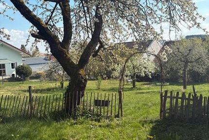 Haus Straubing - 4 Zimmer, 150 m&sup2;, 950&euro; | Angebot:26214043