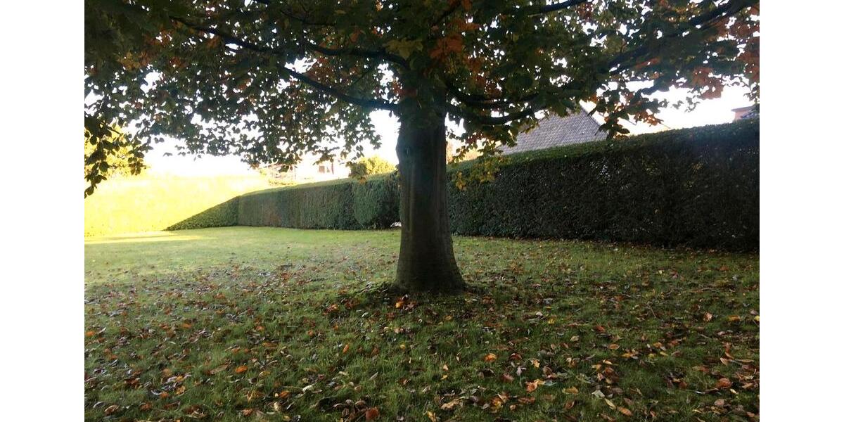 Einfamilienhaus Wildeshausen - 5 Zimmer, 145 m&sup2;, 1.200&euro; | Angebot:26047170