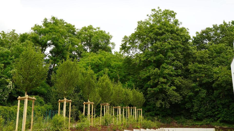 DIREKTE UNI &-KLINIKNÄHE: 3 ZIMMER IN EINZIGARTIGER, GRÜNER LAGE 3 zimmer