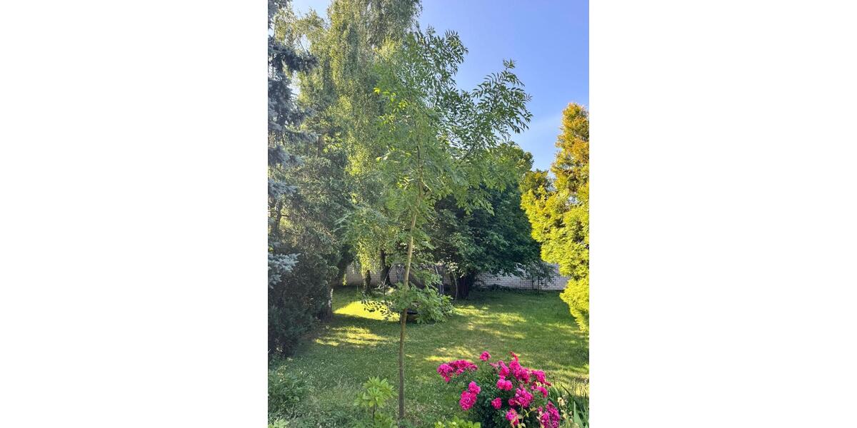 Wohnen auf Zeit Frechen - 1 Zimmer, 33 m&sup2;, 680&euro; | Angebot:24601008